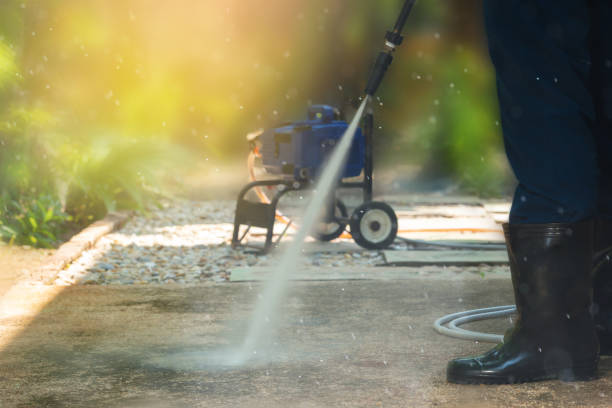 Animal Enclosure Cleaning in Saticoy, CA